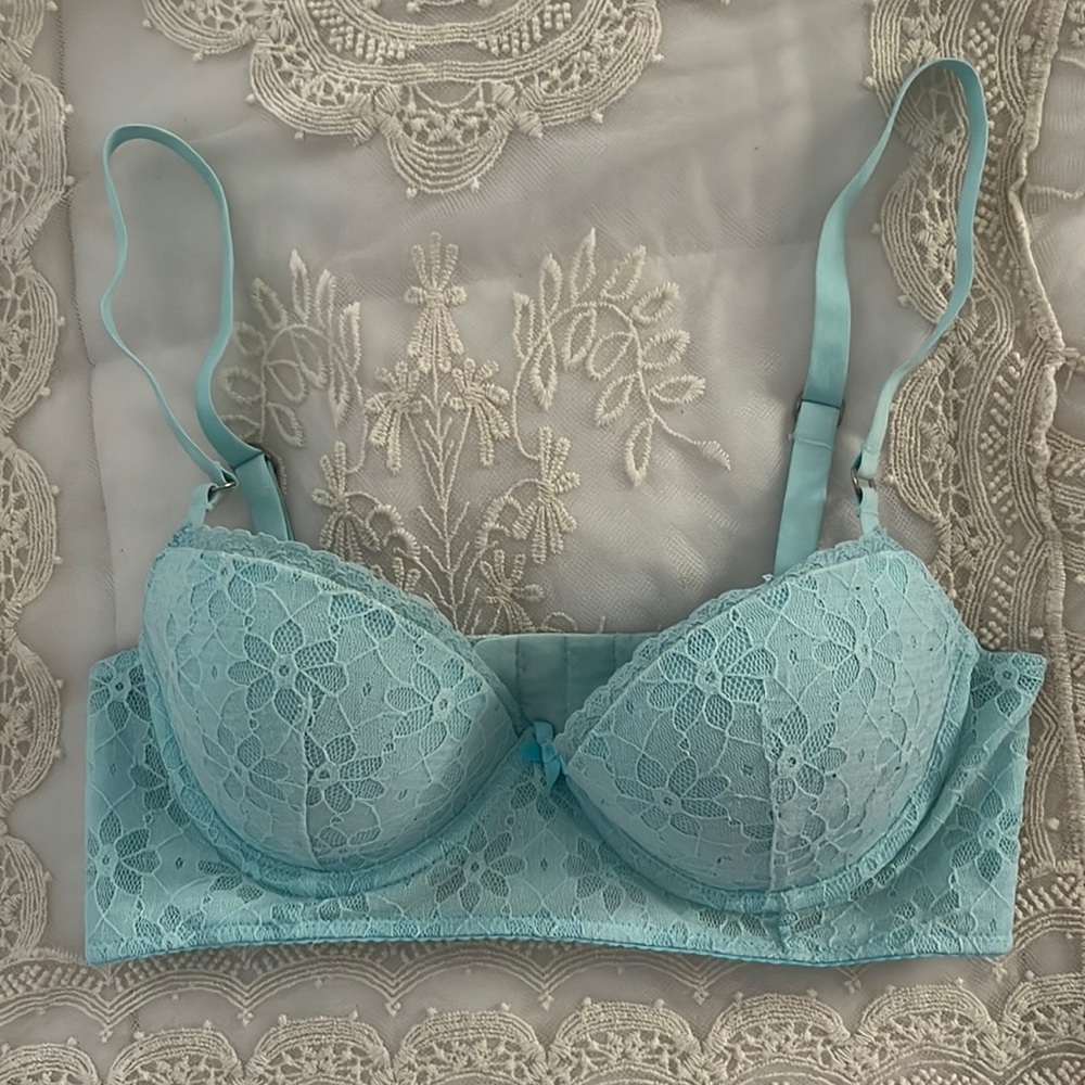 Beautiful Gilly Hicks Push ‘Em Up Long-Line Bra